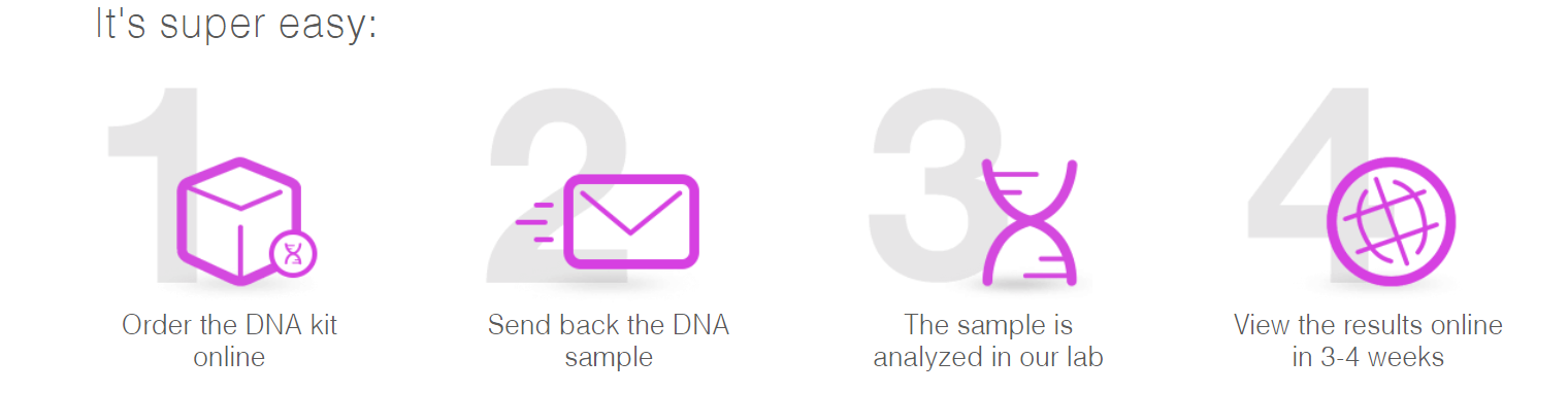 circlemagazine-circledna-dna-test-comparison