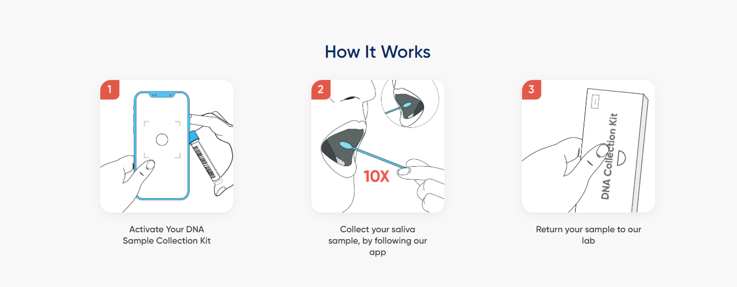 circlemagazine-circledna-dna-test-comparison